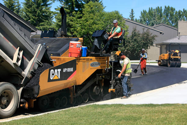 Best Decorative Driveway Pavers  in Hollymead, VA